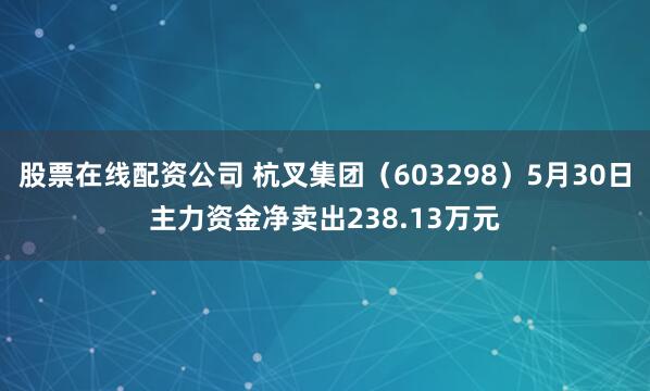 股票在线配资公司 杭叉集团（603298）5月30日主力资金净卖出238.13万元