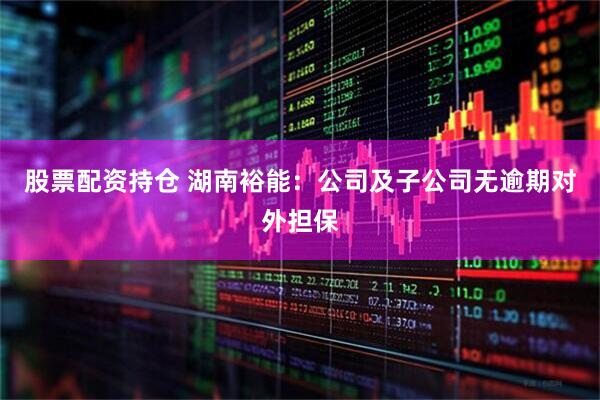 股票配资持仓 湖南裕能：公司及子公司无逾期对外担保